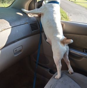 Meet your Posher, Paul